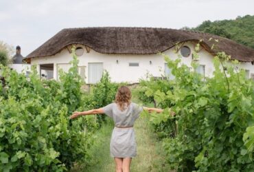 Come Valutare un Agriturismo di Lusso