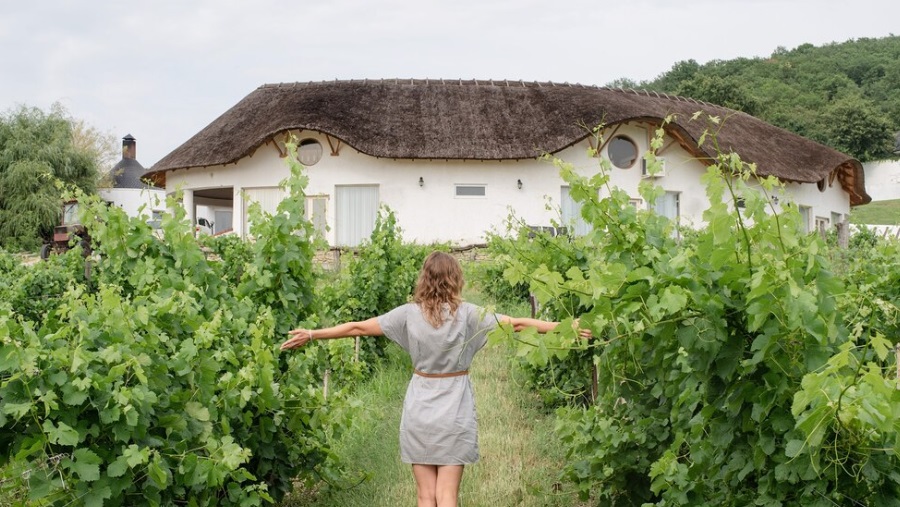 Come Valutare un Agriturismo di Lusso