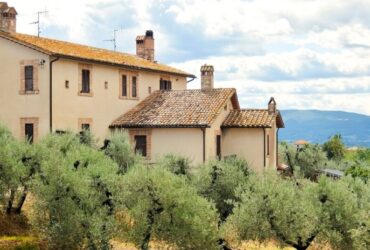 Il Fascino del Lusso