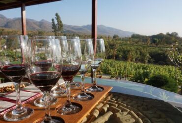 La Toscana e i Suoi Vini