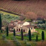 Tour ciclistici con degustazioni nei vigneti naturali