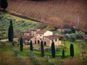 Tour ciclistici con degustazioni nei vigneti naturali