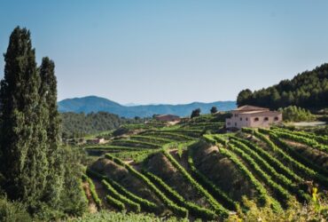 Vivere in Toscana