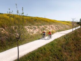 Exploring the Scenic Cycling Routes of Arezzo