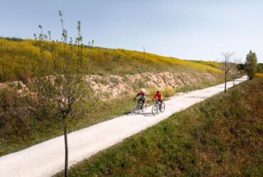 Tour cicloturistici con guida nei parchi storici