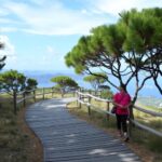 Discovering the Natural Splendor of Livorno: A Guide to Coastal Walks and Nature