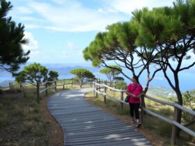 Discovering the Natural Splendor of Livorno: A Guide to Coastal Walks and Nature