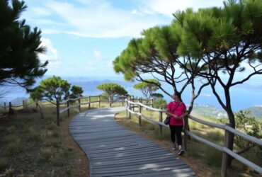 Tour cicloturistici con soste enogastronomiche nei vigneti storici