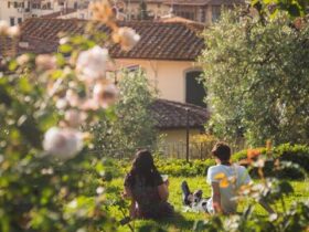 Lusso e Cambiamenti Climatici