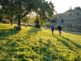 Exploring the Lush Green Spaces and Parks of Arezzo