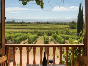 Il Fascino delle Residenze con Vista sulle Vigne in Toscana