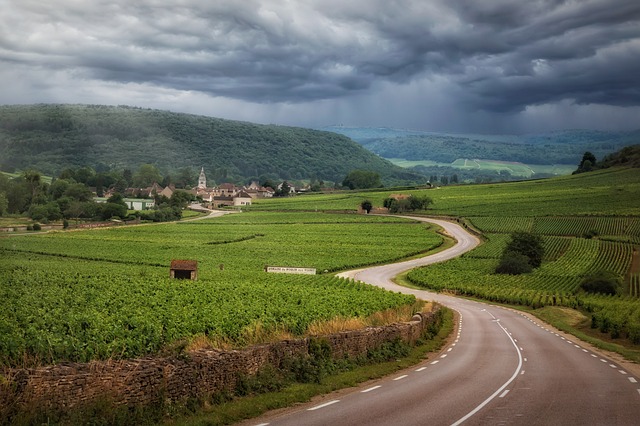 Itinerari cicloturistici con soste gastronomiche nei vigneti naturali