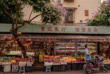 Tendenze del mercato del lavoro