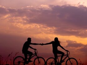 Tour in bici con guida nei vigneti naturali