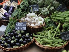 Servizi di ricerca e selezione per il settore delle vendite