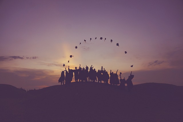 Tirocini per studenti universitari