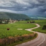 Noleggio bici per esplorare i vigneti naturali