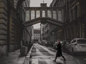 Itinerari cicloturistici guidati nei parchi naturali