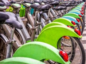Noleggio bici per percorsi nei parchi storici