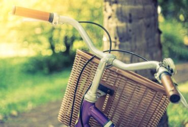 Itinerari cicloturistici guidati nei vigneti storici