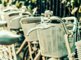 Noleggio bici per esplorazioni nei parchi storici