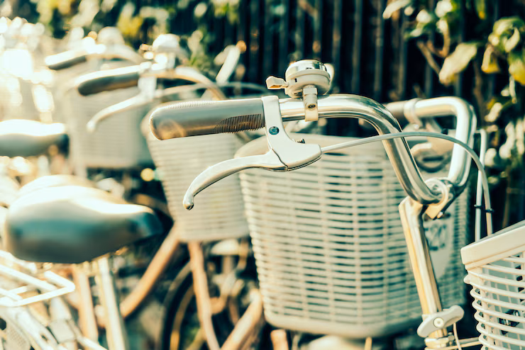 Noleggio bici per esplorazioni nei parchi storici