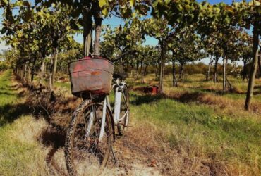Itinerari cicloturistici con soste