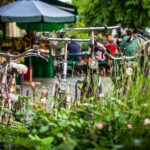 Tour cicloturistici con soste gastronomiche nei parchi