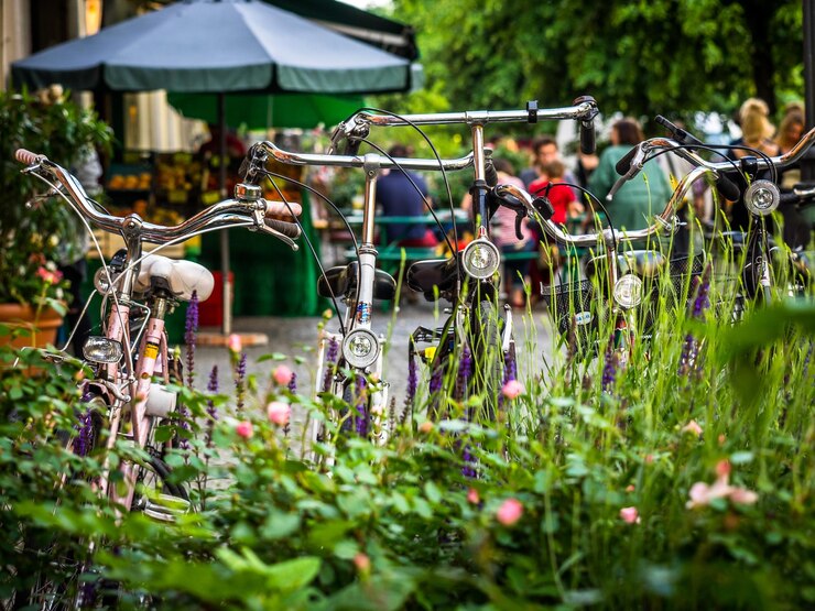 Tour ciclistici con soste enogastronomiche nei parchi