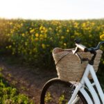 Noleggio bici per percorsi nei vigneti naturali