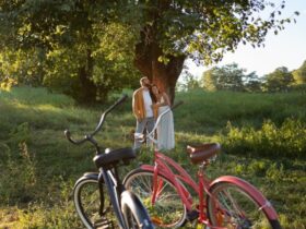 Tour ciclistici con degustazioni nei vigneti naturali