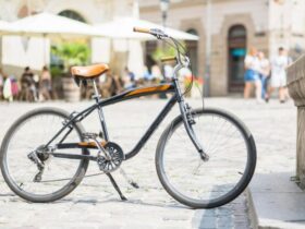 Noleggio bici per esplorazioni nei vigneti storici