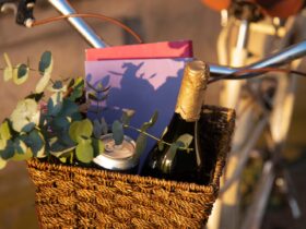 Tour ciclistici con degustazioni gastronomiche nei vigneti