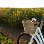 Tour ciclistici con degustazioni nei vigneti naturali