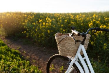 Tour enogastronomici in bici nei parchi storici
