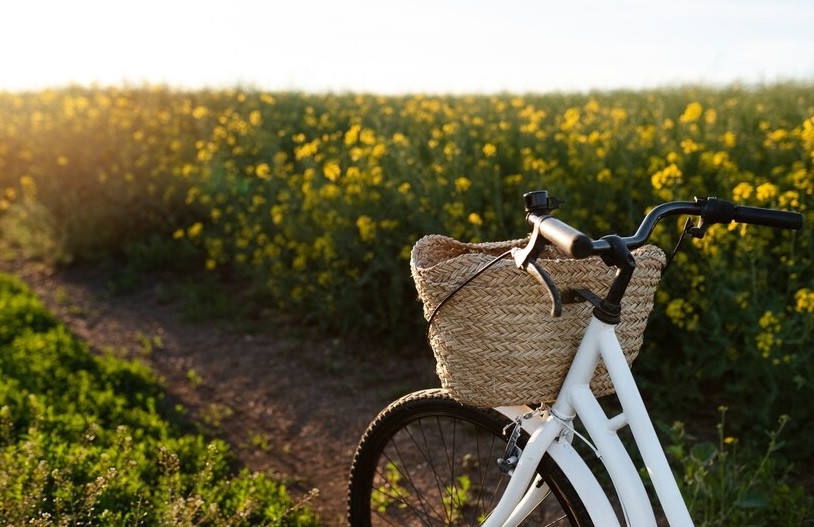 Tour ciclistici con degustazioni nei vigneti naturali