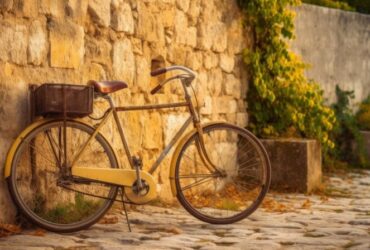 Noleggio bici per esplorare i parchi storici