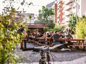 Noleggio biciclette per esperienze gastronomiche a Siena
