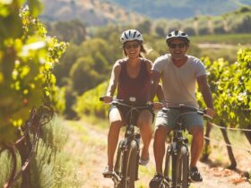 Noleggio biciclette per esperienze uniche nei vigneti