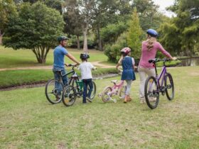 Noleggio bici per esplorare i parchi naturali
