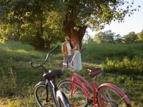 Itinerari gravel bike per famiglie nei vigneti storici