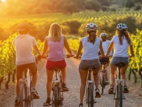Percorsi cicloturistici per famiglie nei vigneti storici