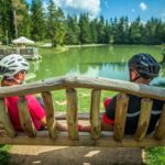 Noleggio bici per percorsi nei parchi naturali