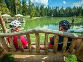 Tour ciclistici con degustazioni nei parchi naturali
