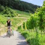 Tour ciclistici con degustazioni nei vigneti naturali