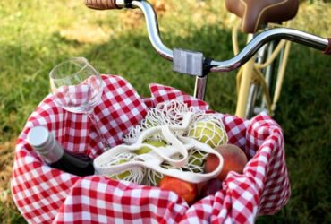 Tour ciclistici con degustazioni nei vigneti naturali