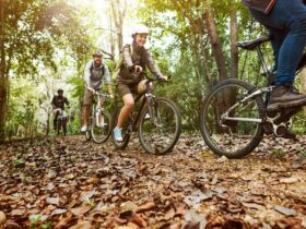 Tour in bici con guida nei parchi storici