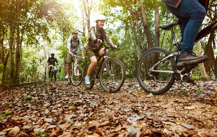 Tour in bici con guida nei parchi storici