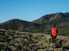 Tour cicloturistici con soste storiche nei parchi naturali