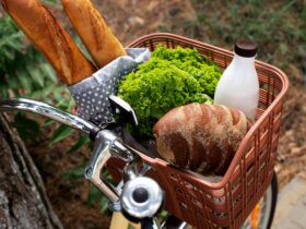 Tour enogastronomici in bici nei parchi naturali
